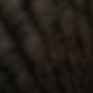 Meet your Posher, Peyton